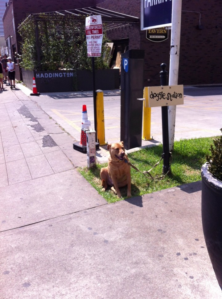 Photo Credit: Ujima Magazine