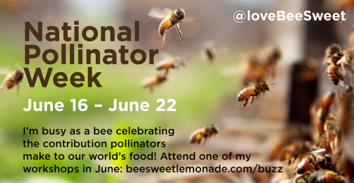 pollinator_week3