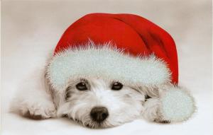 Happy-Holidays-dogs-26334003-1088-694