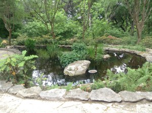 Zilker Pond IMG_0544