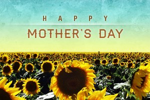 Photo: blog.dynamic-internet-solutions.com