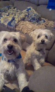 Tanner and Mia IMG_0302