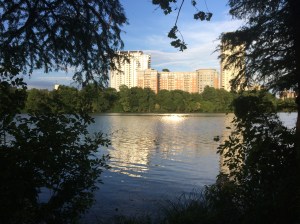 Town Lake Photo 2015-06-18 19.37.45-1